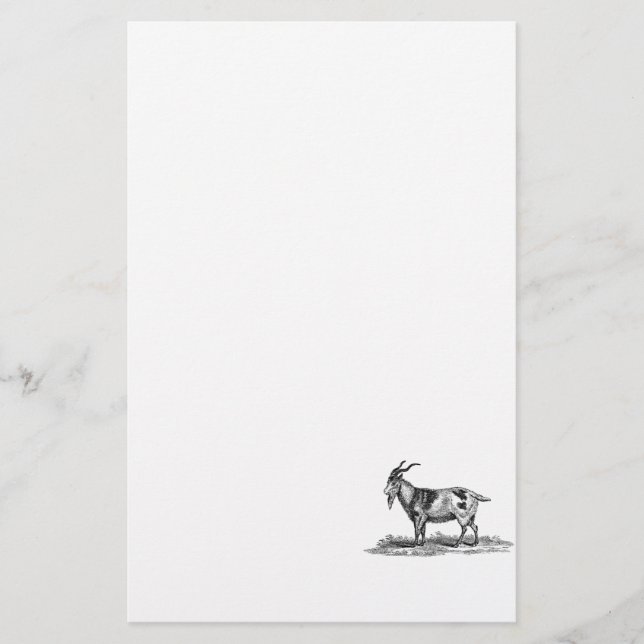 Vintage Domestic Goat Illustration - 1800's Goats Stationery (Front)
