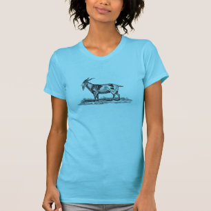 Vintage Domestic Goat Illustration - 1800's Goats T-Shirt