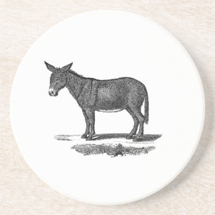 Vintage Donkey Illustration - 1800's Donkeys Coaster