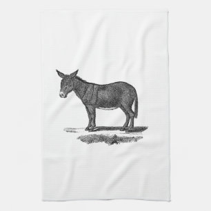 Vintage Donkey Illustration - 1800's Donkeys Tea Towel