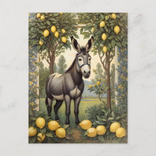 Vintage Donkey Under the Lemon Trees Postcard