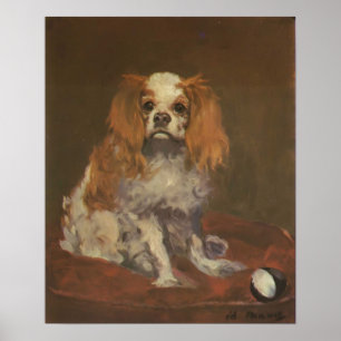 Vintage Dop Print "A King Charles Spaniel"