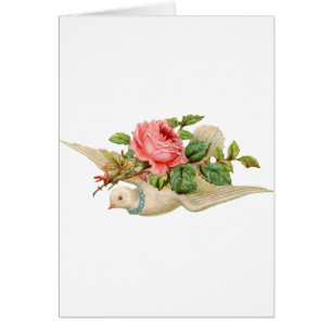 Vintage Dove and Rose