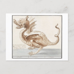 Vintage Dragon Illustration Postcard