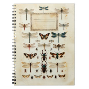 Vintage Dragonfly Beetle Taxonomy Specimen Chart Notebook