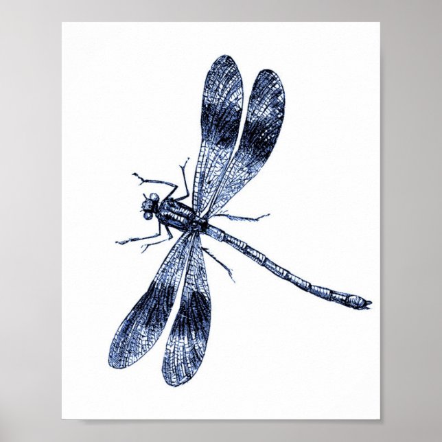 Vintage Dragonfly - Blue Poster (Front)