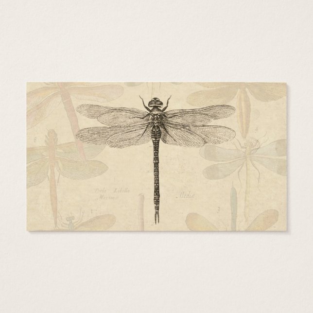 Vintage dragonfly drawing (Back)