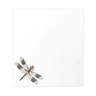 Vintage Dragonfly Drawing Antique Insect Artwork Notepad