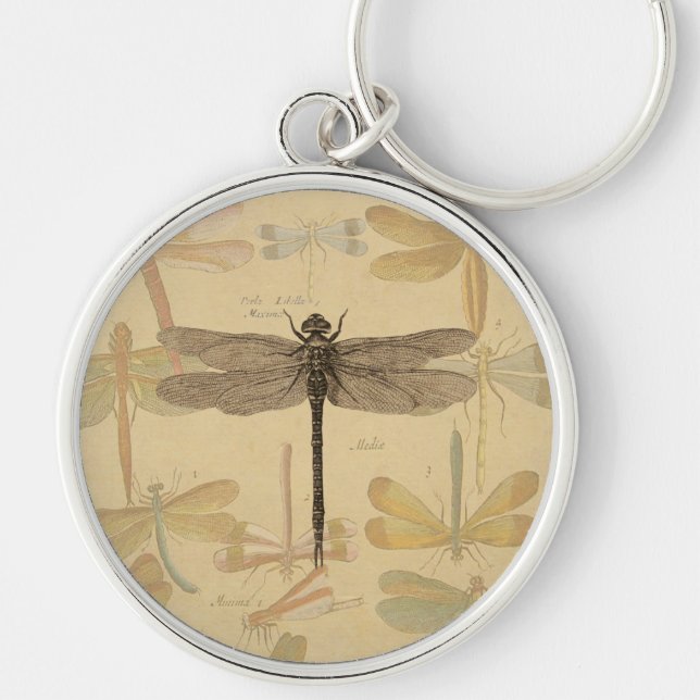 Vintage dragonfly drawing key ring (Front)