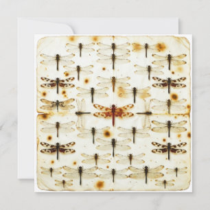 Vintage Dragonfly Garden Dragonflies Bugs Insects Card