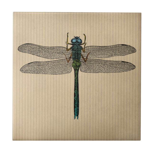 Vintage Dragonfly Illustration Tile (Front)
