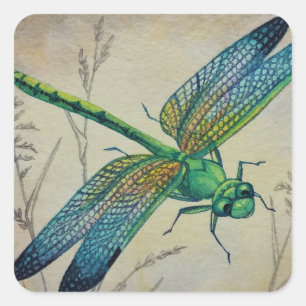 Vintage Dragonfly No. 3 and Grass Watercolor Art Square Sticker