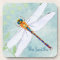 Vintage Dragonfly on Faded Floral Background