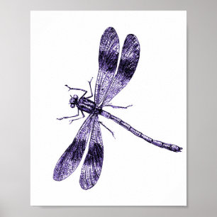Vintage Dragonfly - Purple Poster