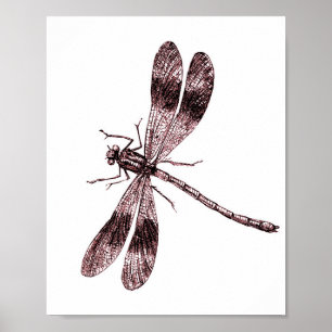 Vintage Dragonfly - Red Poster