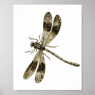 Vintage Dragonfly - Sepia  Poster