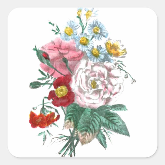 Vintage Drawing: Bengal Roses Square Sticker (Front)