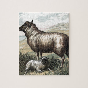 Vintage Drawing: Blackhead Persian Sheep Jigsaw Puzzle