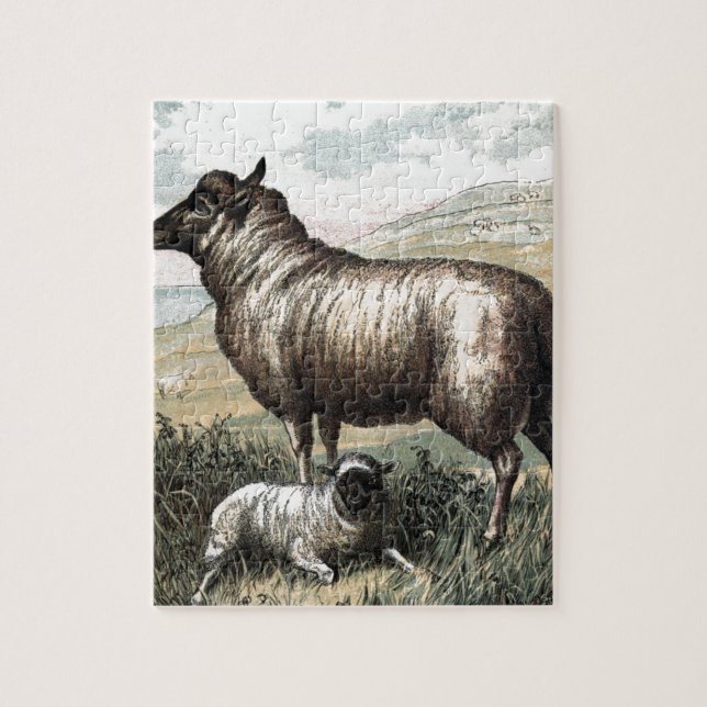 Vintage Drawing: Blackhead Persian Sheep Jigsaw Puzzle (Vertical)