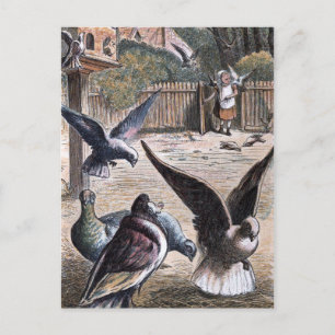 Vintage Drawing: Carrier Pidgeons Postcard