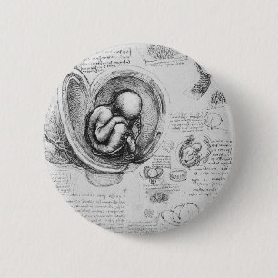 Vintage drawing of a foetus in the uterus 1 6 cm round badge