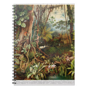 Vintage drawing of tropical forest plants from the notebook