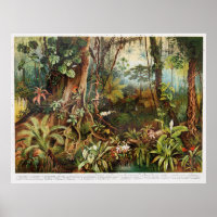 Vintage drawing of tropical forest plants from the
