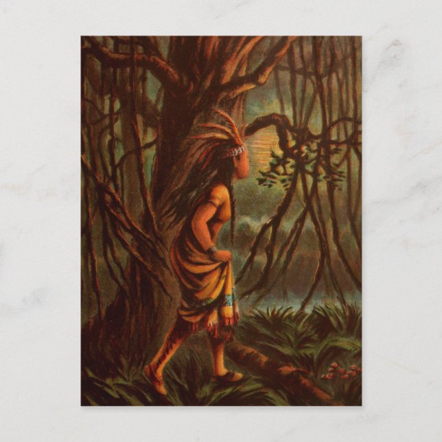 Vintage Drawing: Pocahontas, The Indian Princess Postcard (Front)