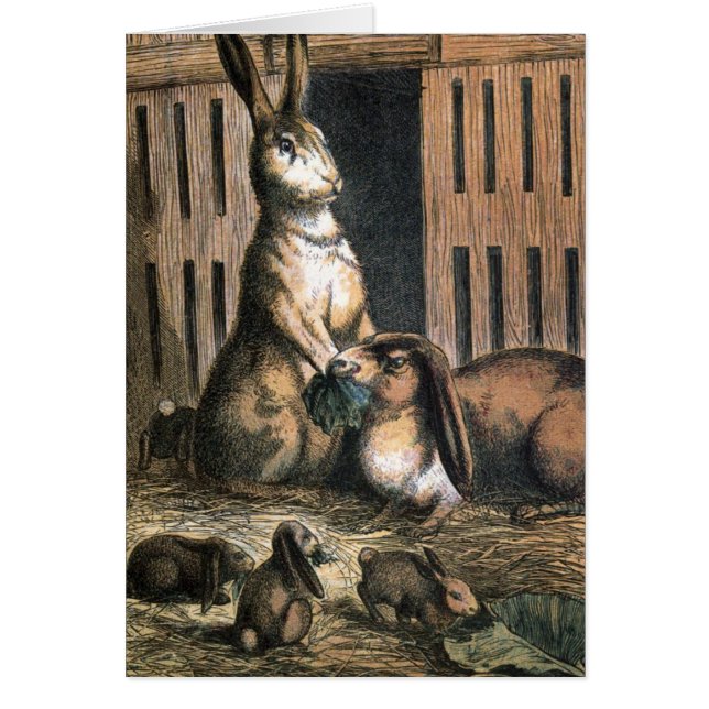 Vintage Drawing: Proud Bunny Parents (Front)