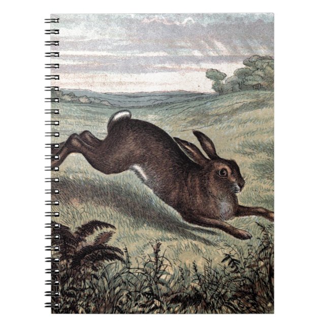 Vintage Drawing: Running Hare in a Field Notebook (Front)