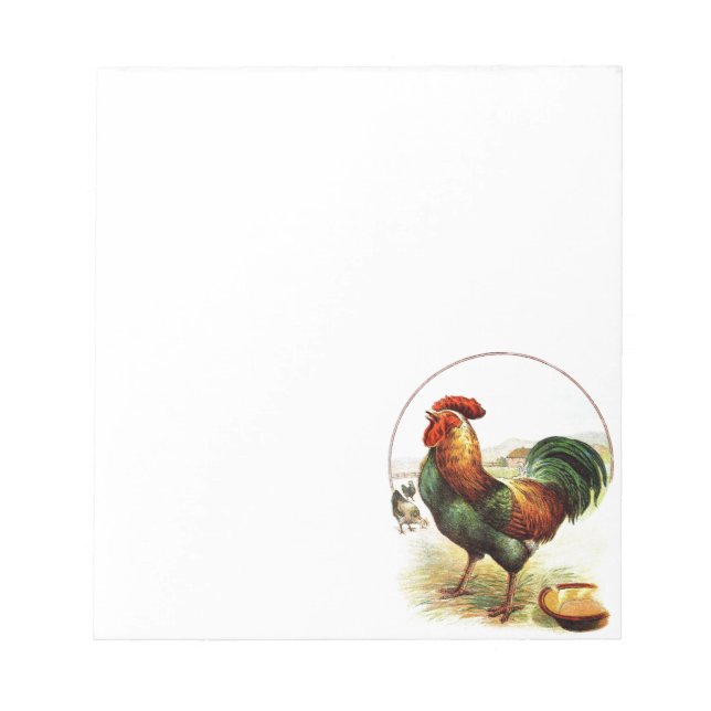 Vintage Drawing: The Rooster Notepad (Front)