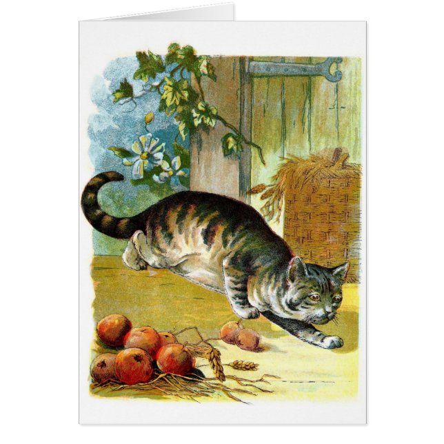 Vintage Drawing: The Sly Cat (Front)