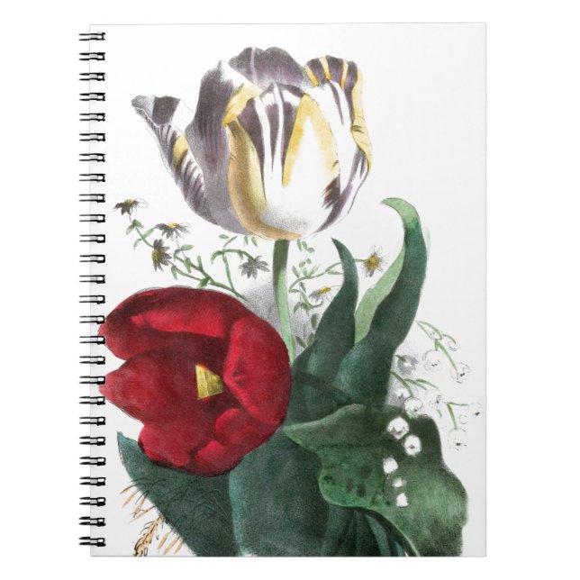 Vintage Drawing: Tulips Spiral Notebook (Front)