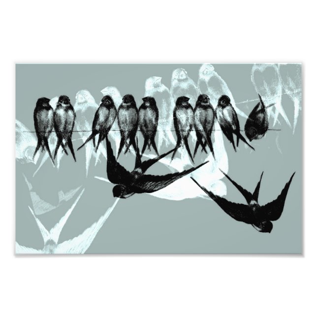 Vintage Dreams - Swallows on line Photo Print (Front)