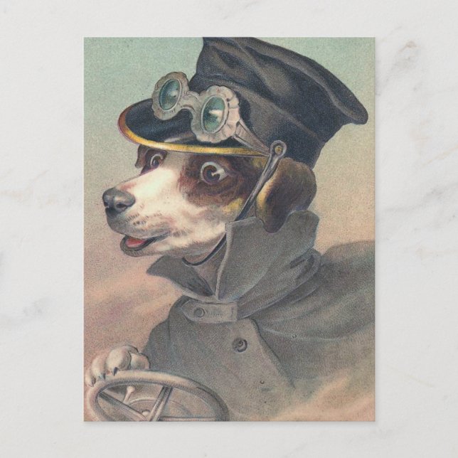 "Vintage Driver Dog" Postcard (Front)