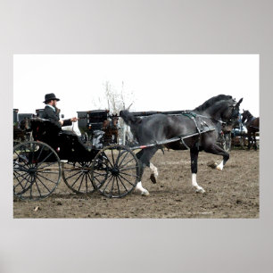 Vintage Driving Horse Poster