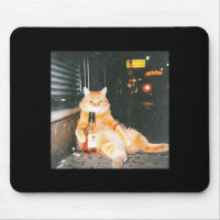 Vintage Drunk Cat Meme In Night Street Funny Cat L