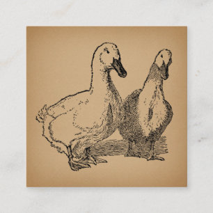 Vintage Duck Art Two Ducks Illustration Enclosure Card