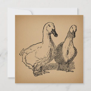 Vintage Duck Art Two Ducks Illustration Invitation