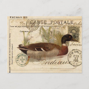 Vintage Duck Card