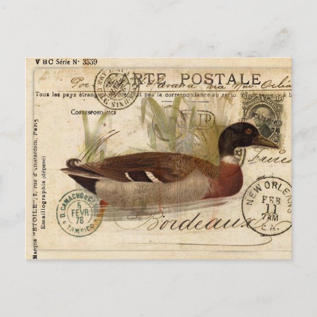 Vintage Duck Card (Front)