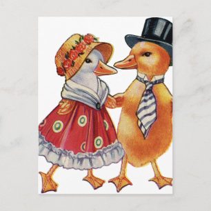 Vintage Duck Couple Postcard