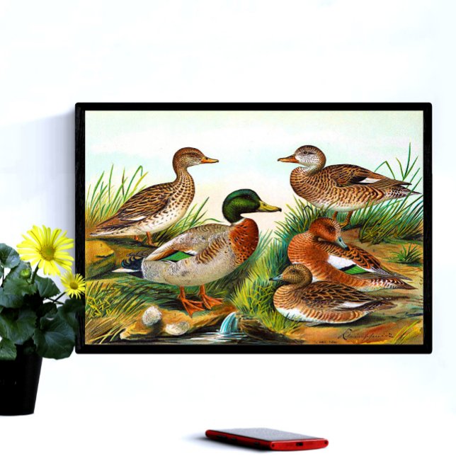 Vintage Ducks At The Pond 3 Poster (Creator Uploaded)
