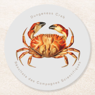 Vintage Dungeness Crab Illustration Round Paper Coaster