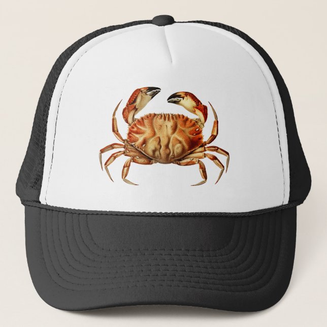 Vintage Dungeness Crab Illustration Trucker Hat (Front)