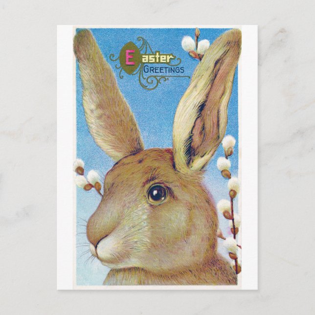 Vintage Easter Big Bunny Postcard (Front)