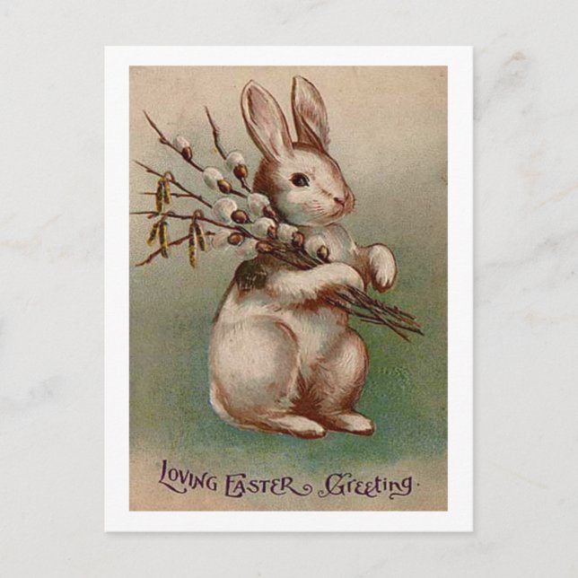 Vintage Easter Bunny Greetings Holiday Postcard (Front)