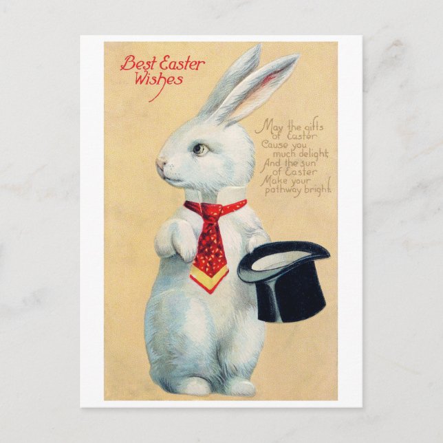 Vintage Easter Bunny Postcard (Front)