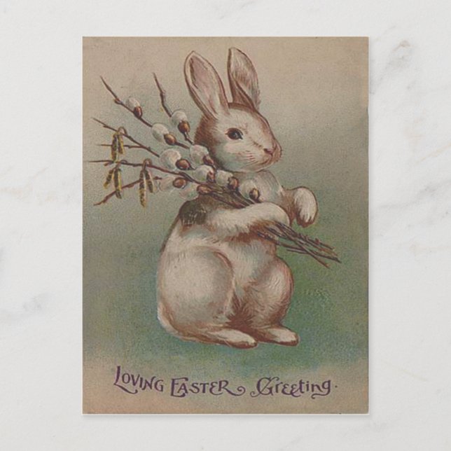 Vintage Easter Bunny Rabbit Holiday Postcard (Front)
