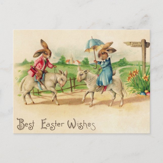 Vintage Easter Bunny Rabbit Riding Lambs Greetings Postcard (Front)